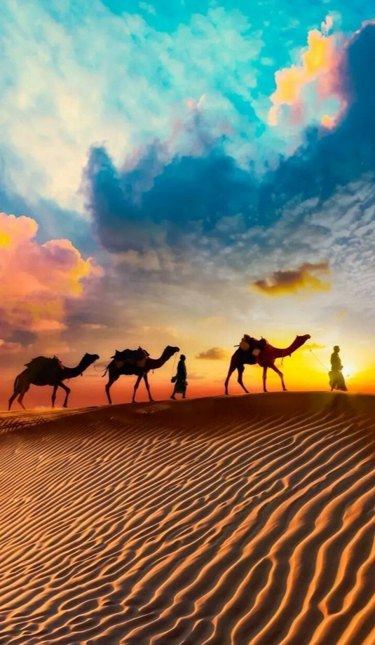 Sacred Treasures desert journey visual